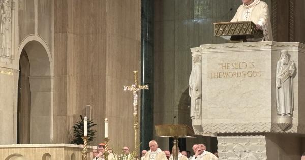 Cardinal Robert McElroy steps onto Washington ‘tightrope’ as new archbishop