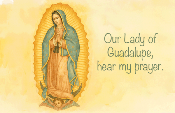Our Lady of Guadalupe