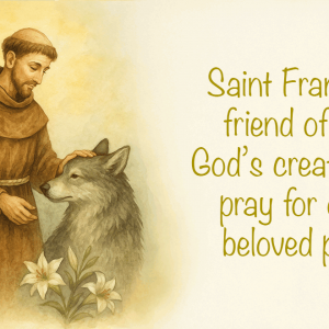 St Francis Pet Enrollment