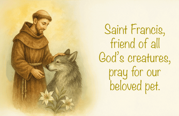 St Francis Pet Enrollment